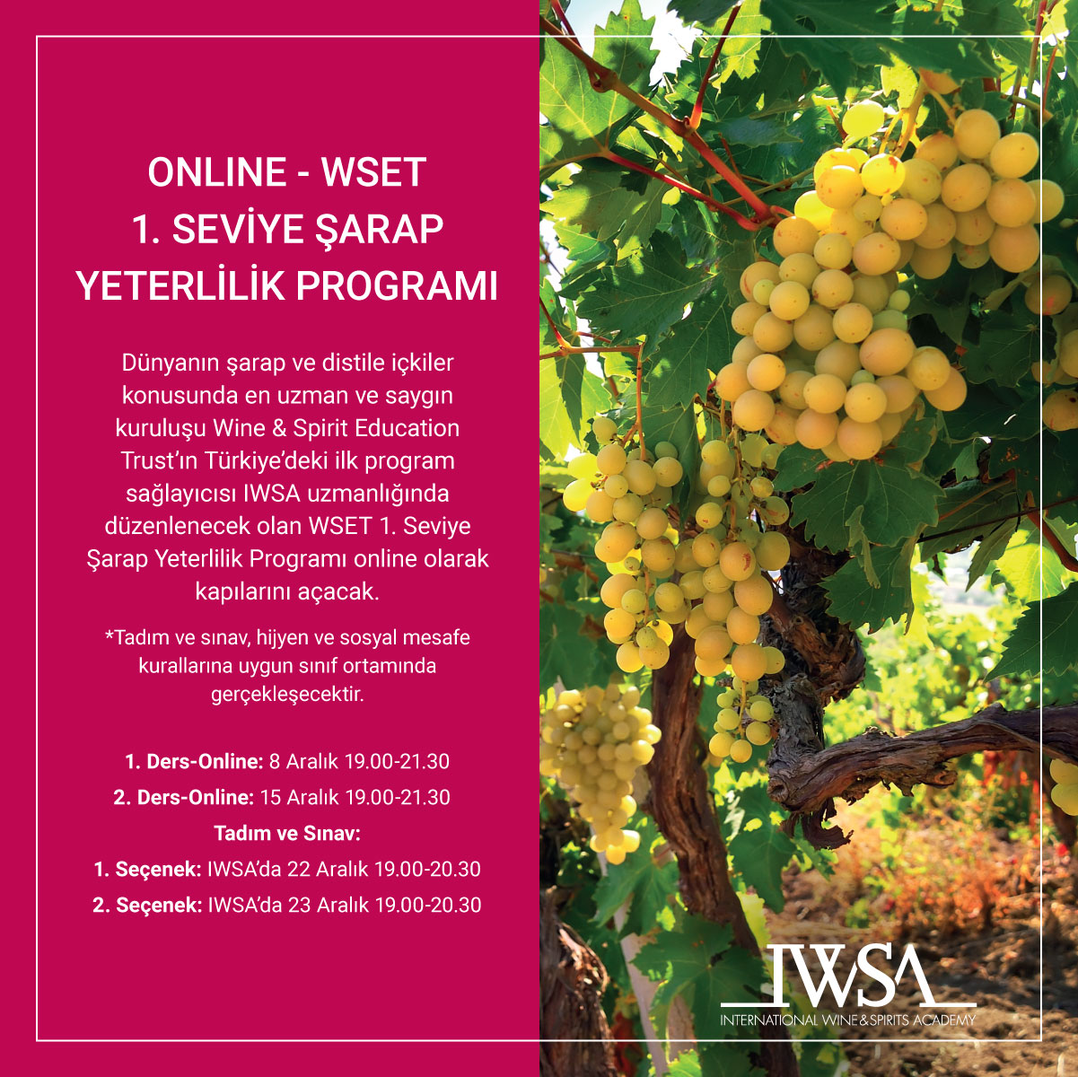 WSET 1. Seviye Şarap Yeterlilik Programı